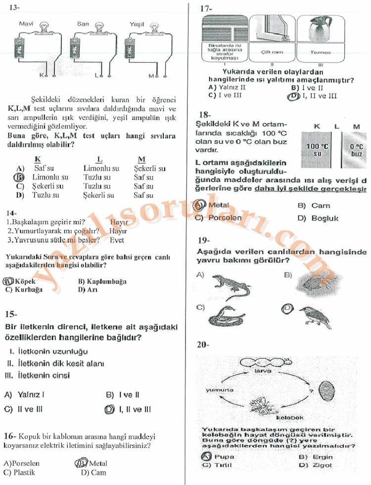 fen6