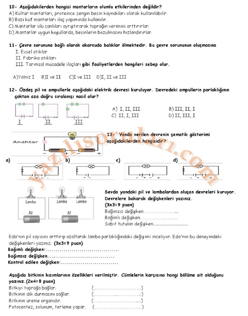 5fen2