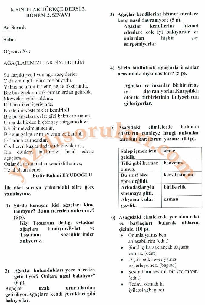 Türkçe6