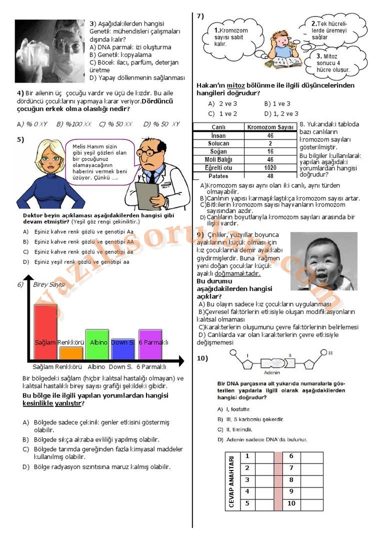 fensoruları